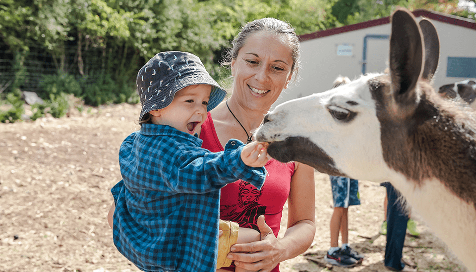 maman et son fils à la ferme avec lama